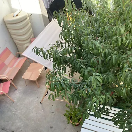 Ondas Atlantico Famalicao